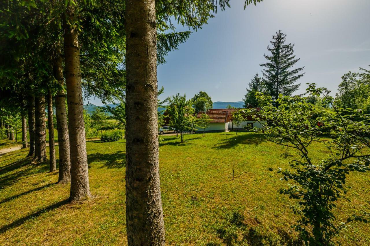Beautiful Cottage With Heated Pool For 22 Ppl Plaški Exterior foto